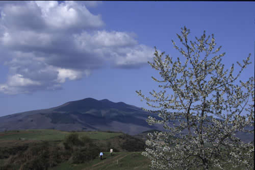 Passeggiando nel Parco Faunistico